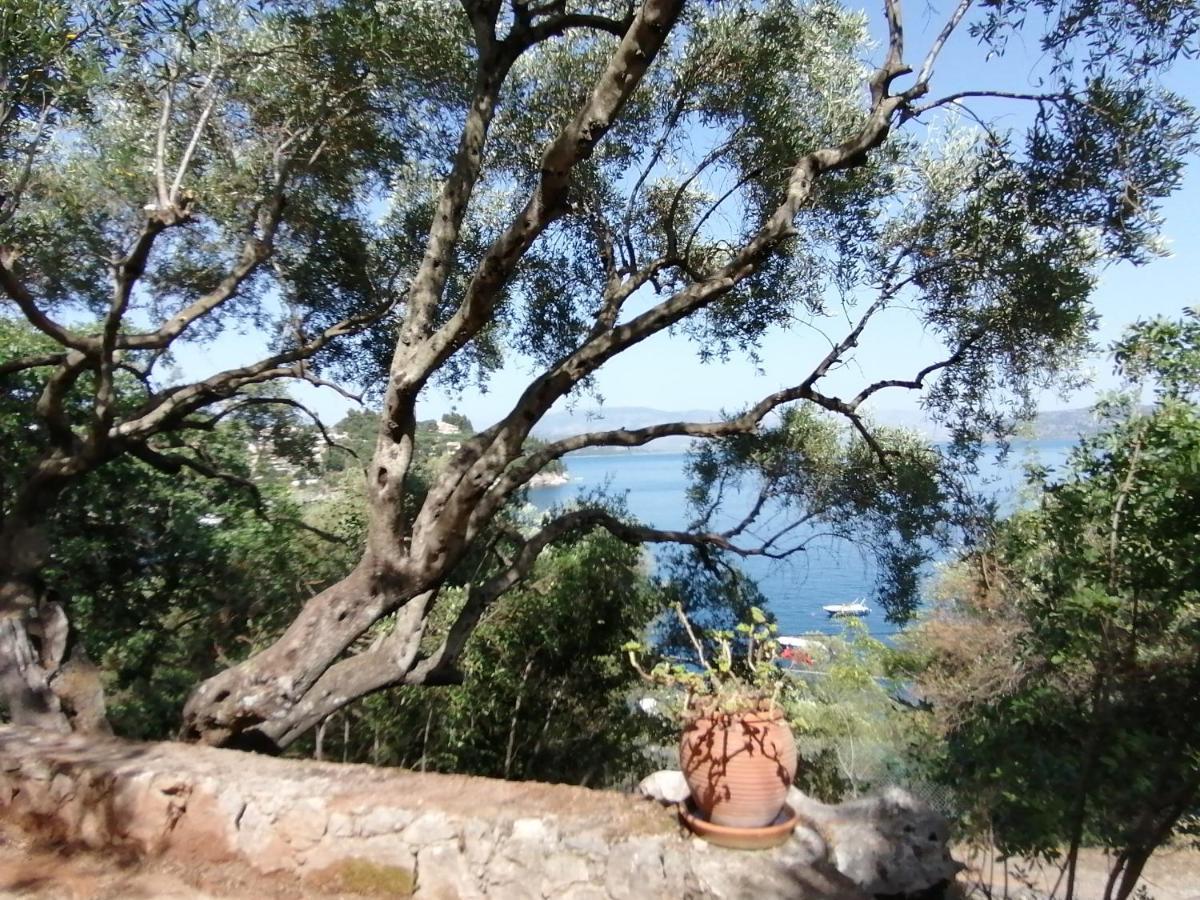 Villa Nena - Studio Suites Kalami (Corfu) Exterior foto